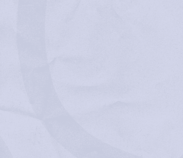 Motion Design Motion Design